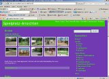 www.spielplatz-ansichten.de